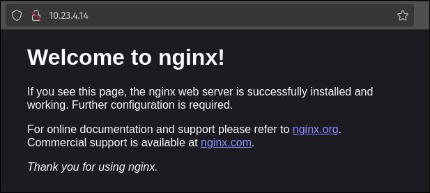 nginx welcome page (local)